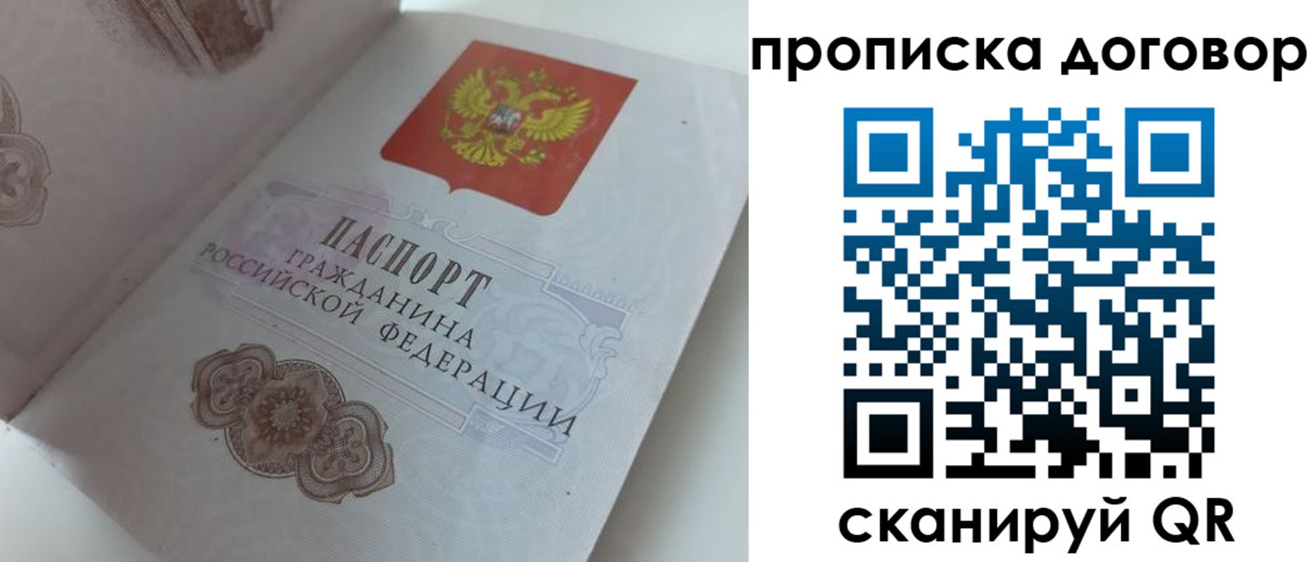 прописка поиск в Кольчугино